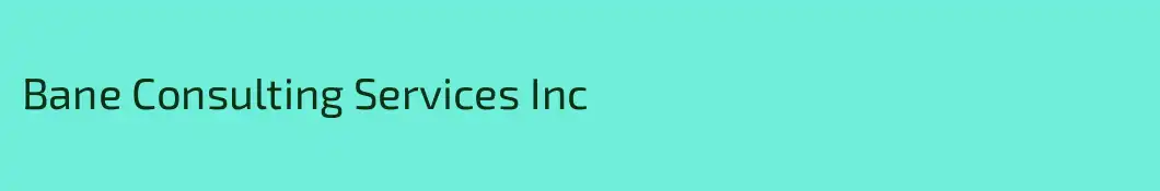 Bane Consulting Services Inc